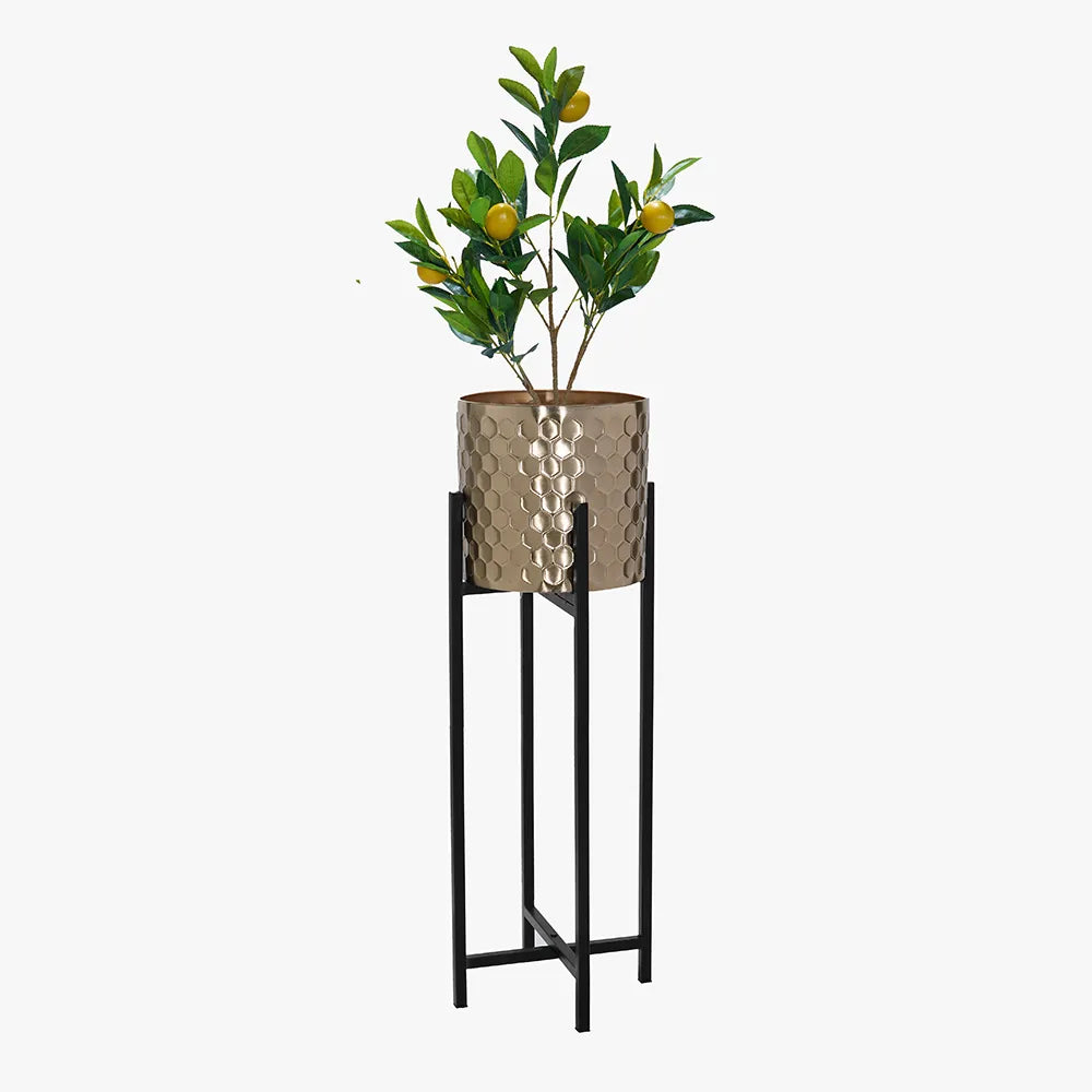Matera Ibarra 91cm