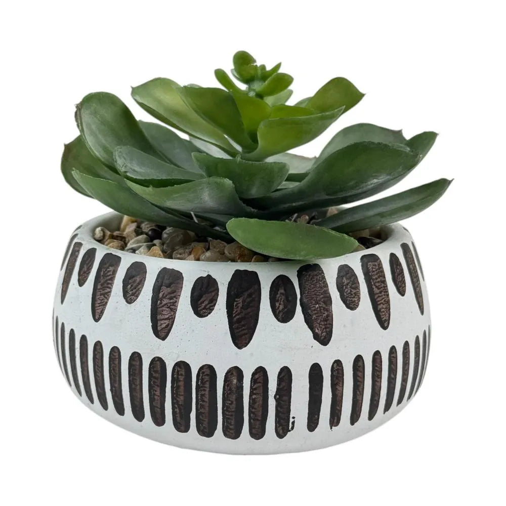 Planta Artificial Peperomia