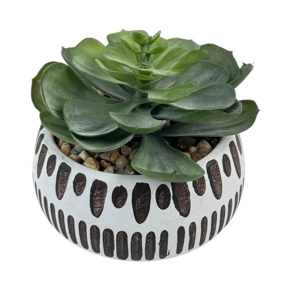 Planta Artificial Peperomia