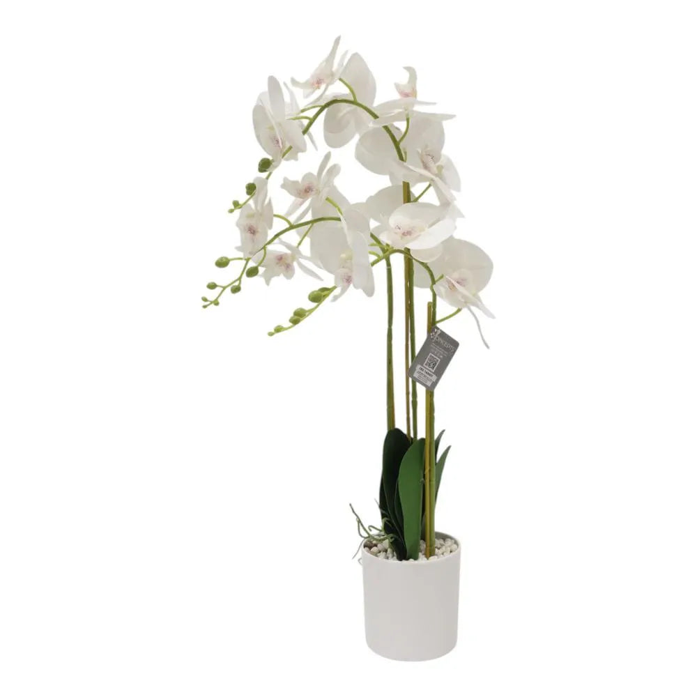 Planta Artificial Orquídea Plástico Blanco