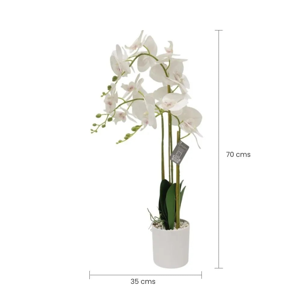 Planta Artificial Orquídea Plástico Blanco